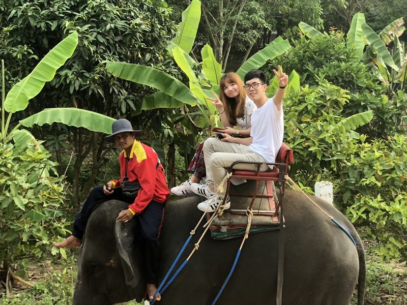 ����(sh��)��(j��)�M��2017��ȃ�(y��u)��T��6��̩������ӛ