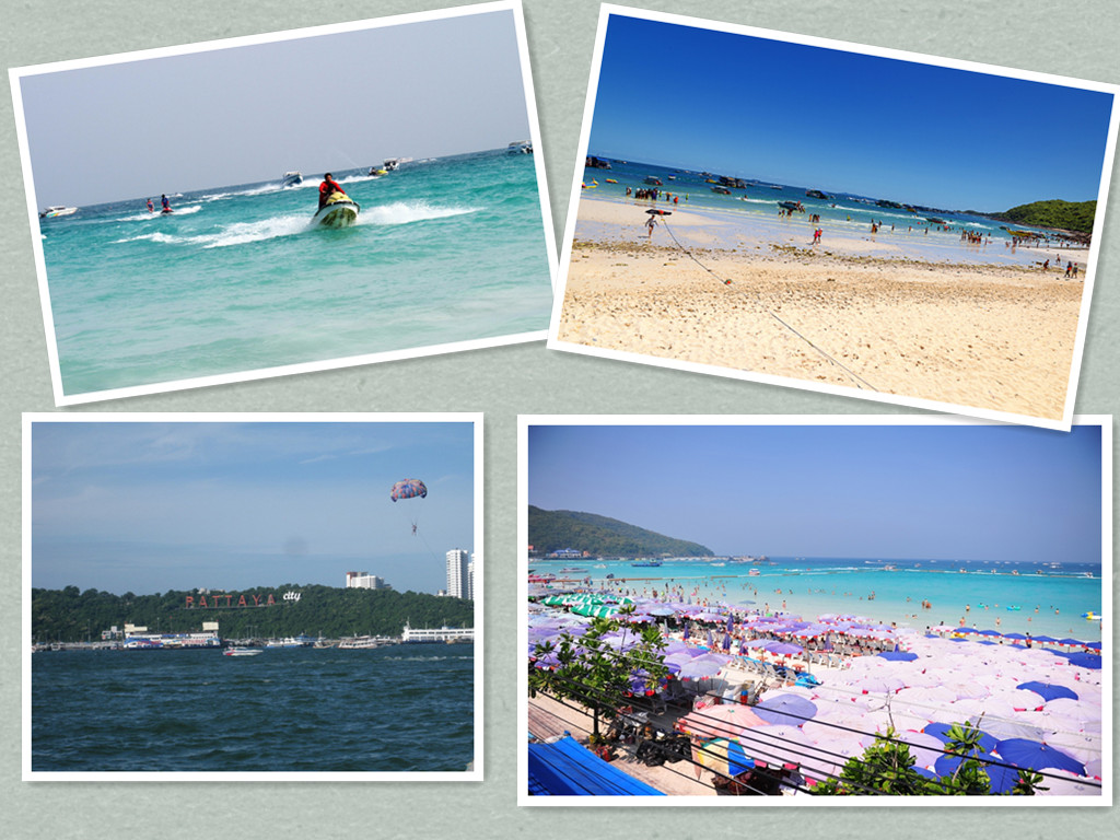 ����(sh��)��(j��)�M��2017��ȃ�(y��u)��T��6��̩������ӛ