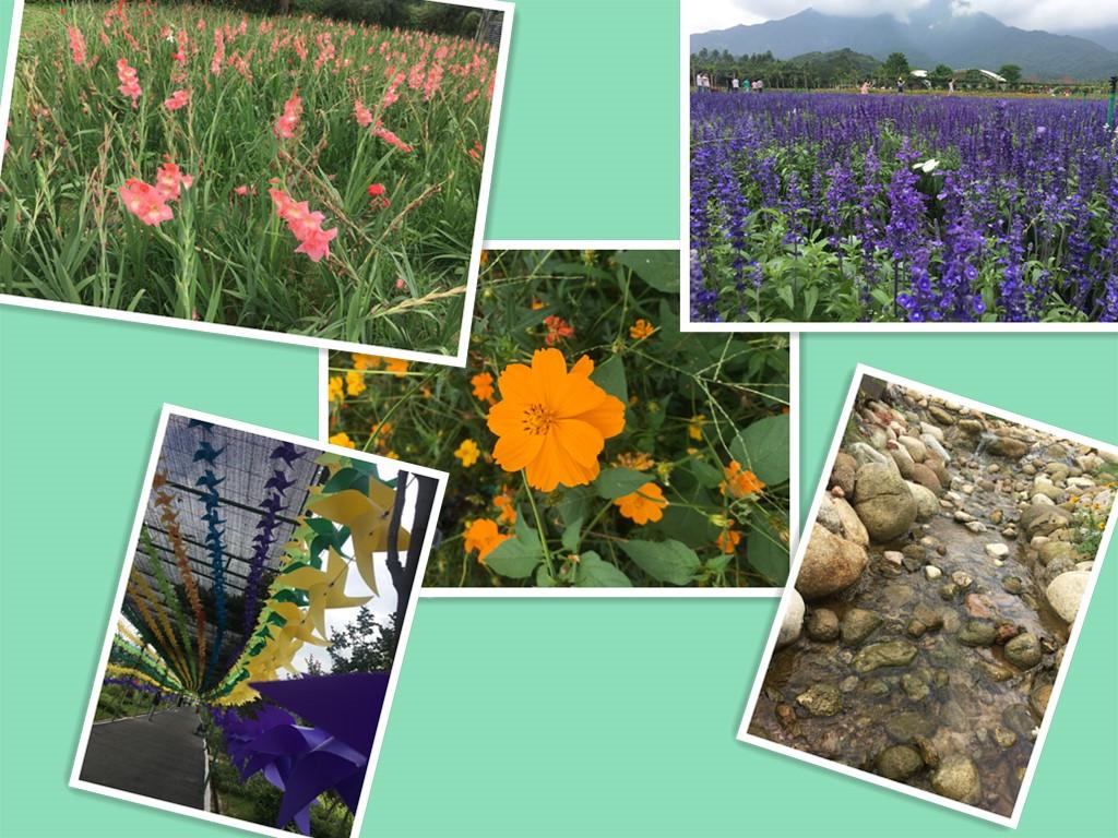 ӛ�ʫh�Ƽ����݃�����