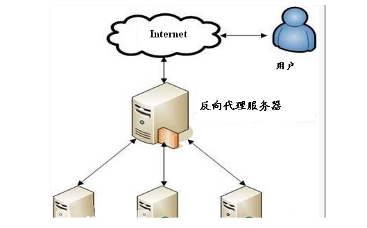 ��������(w��)����ʲô,��ʲô����?