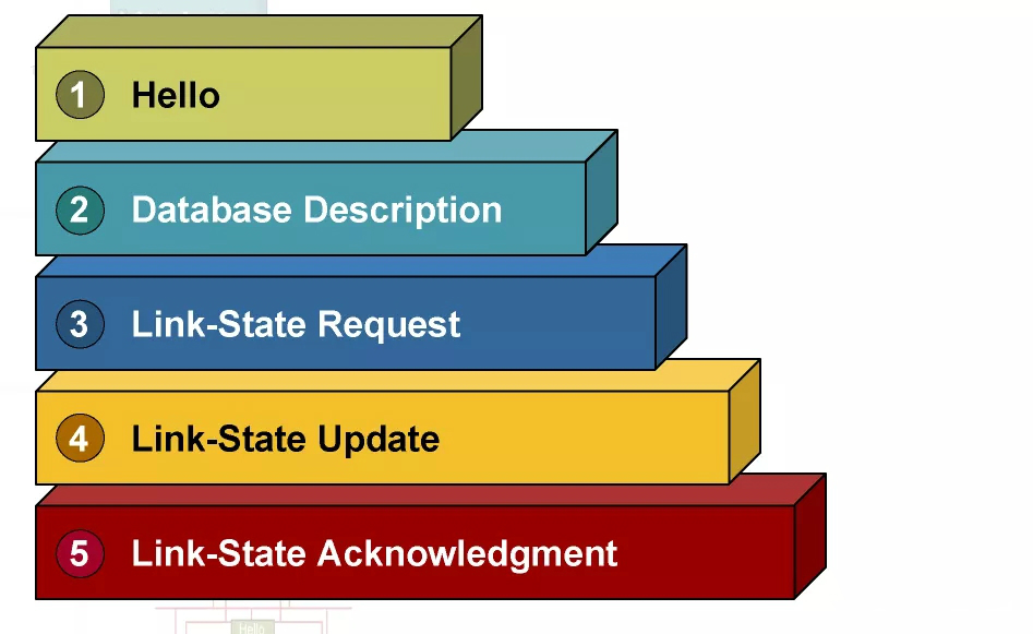 OSPF��(d��ng)�B(t��i)·�Ʌf(xi��)�h���A(ch��)֪�R(sh��)