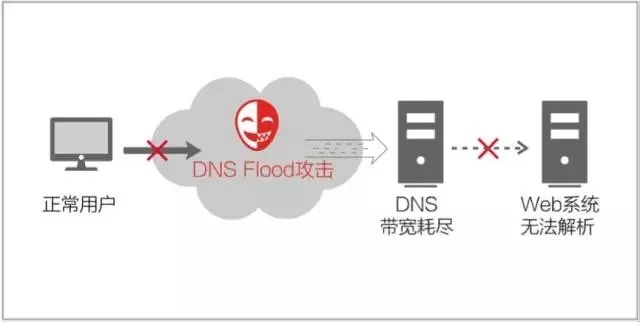 DNS Query Flood����