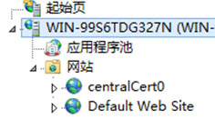 IIS8.0����ʽSSL�C������: SSL�ɔU(ku��)չ�ԺͿɹ�����