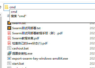 swarm�ڵV�̳����]100�fBZZ�ſ�Ͷ�ڵV�̳�